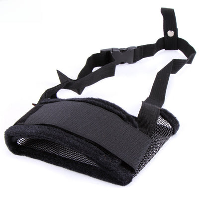 dog muzzle