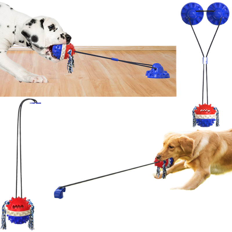 Dog outdoor leash
