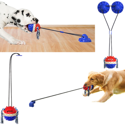 Dog outdoor leash