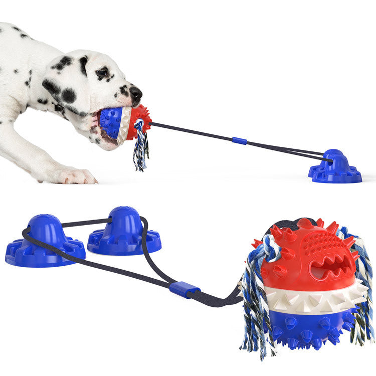 Dog outdoor leash