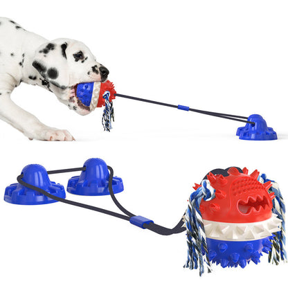 Dog outdoor leash