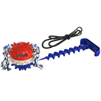 Dog outdoor leash