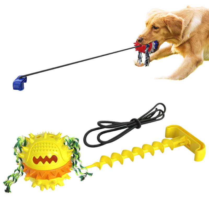 Dog outdoor leash