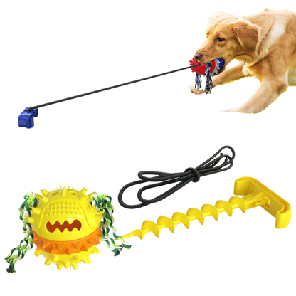 Dog outdoor leash