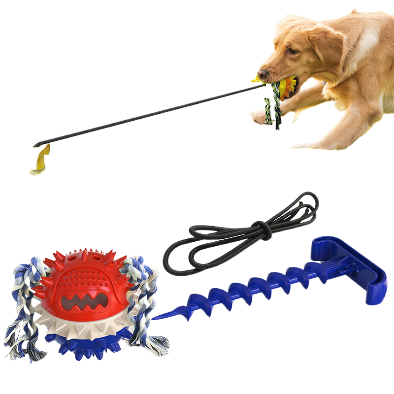 Dog outdoor leash