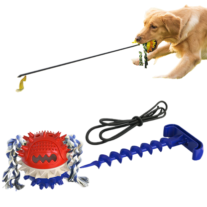 Dog outdoor leash