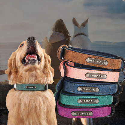 Dog Pet Collar