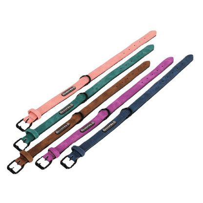 Dog Pet Collar