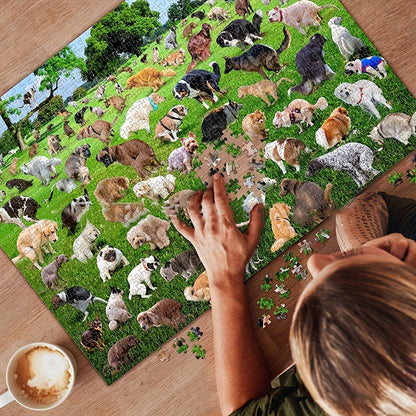Dog Poop Puzzles