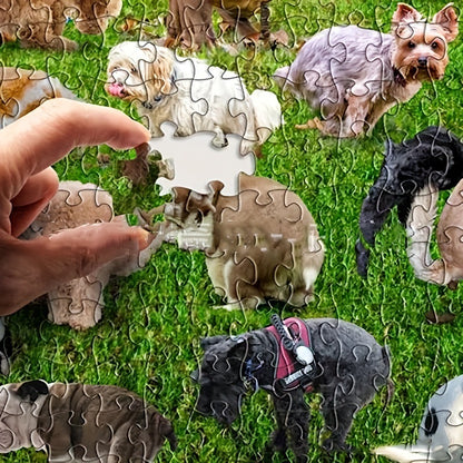 Dog Poop Puzzles