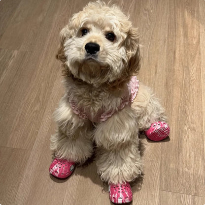Dog Rain Boots