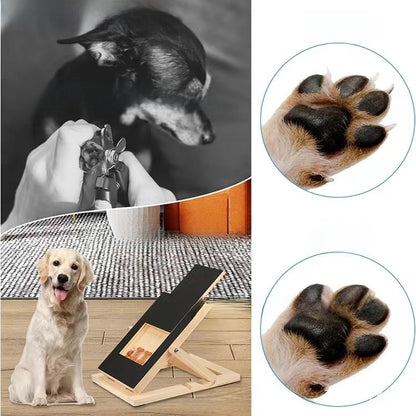 Dog Scratch Board