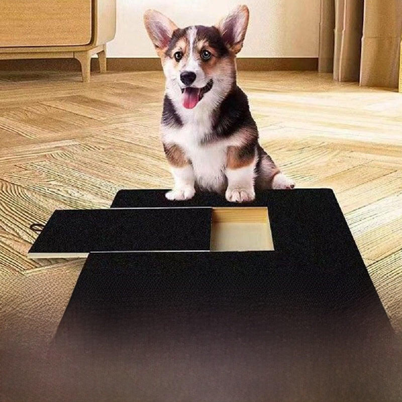 Dog scratching board