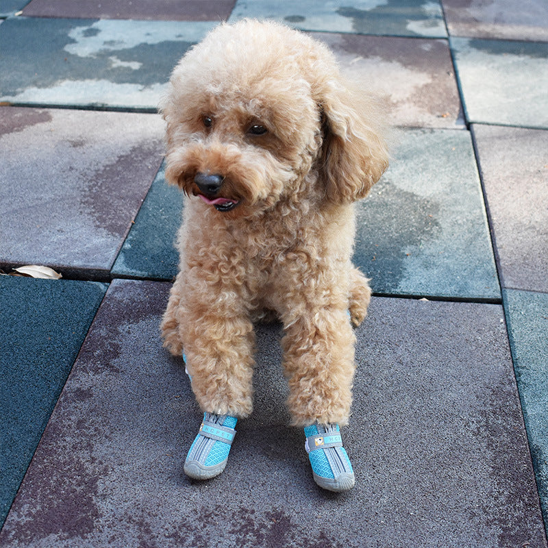 Dog shoes