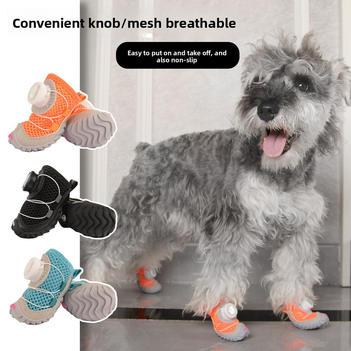 dog shoes