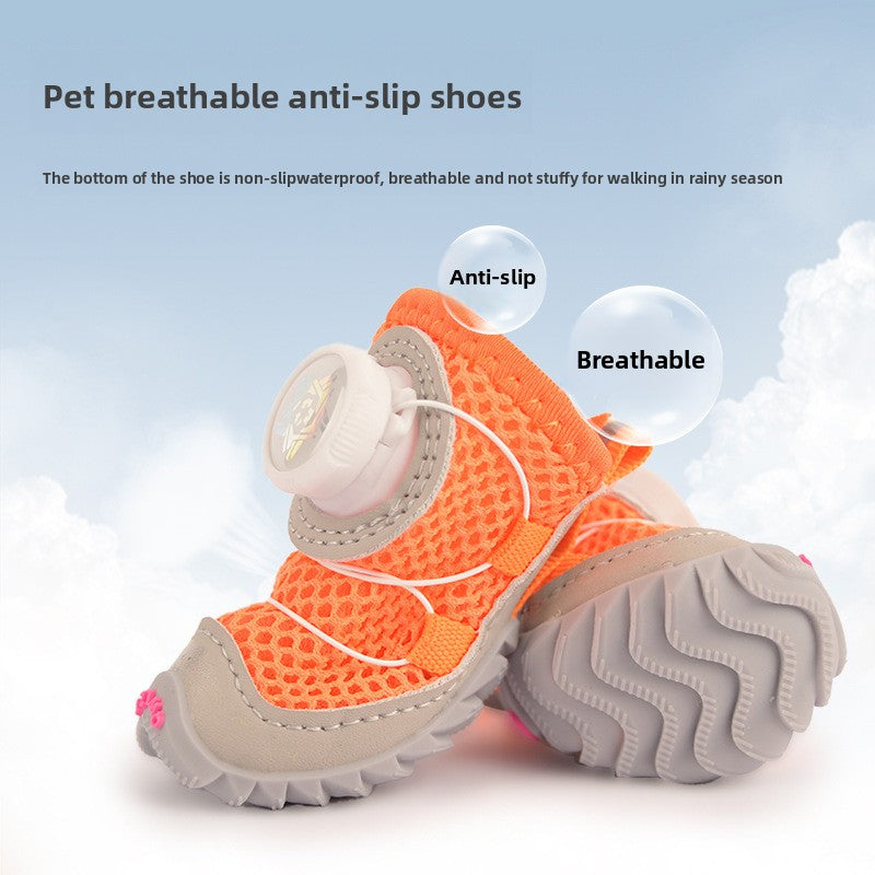 dog shoes