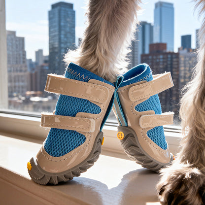 Dog Shoes