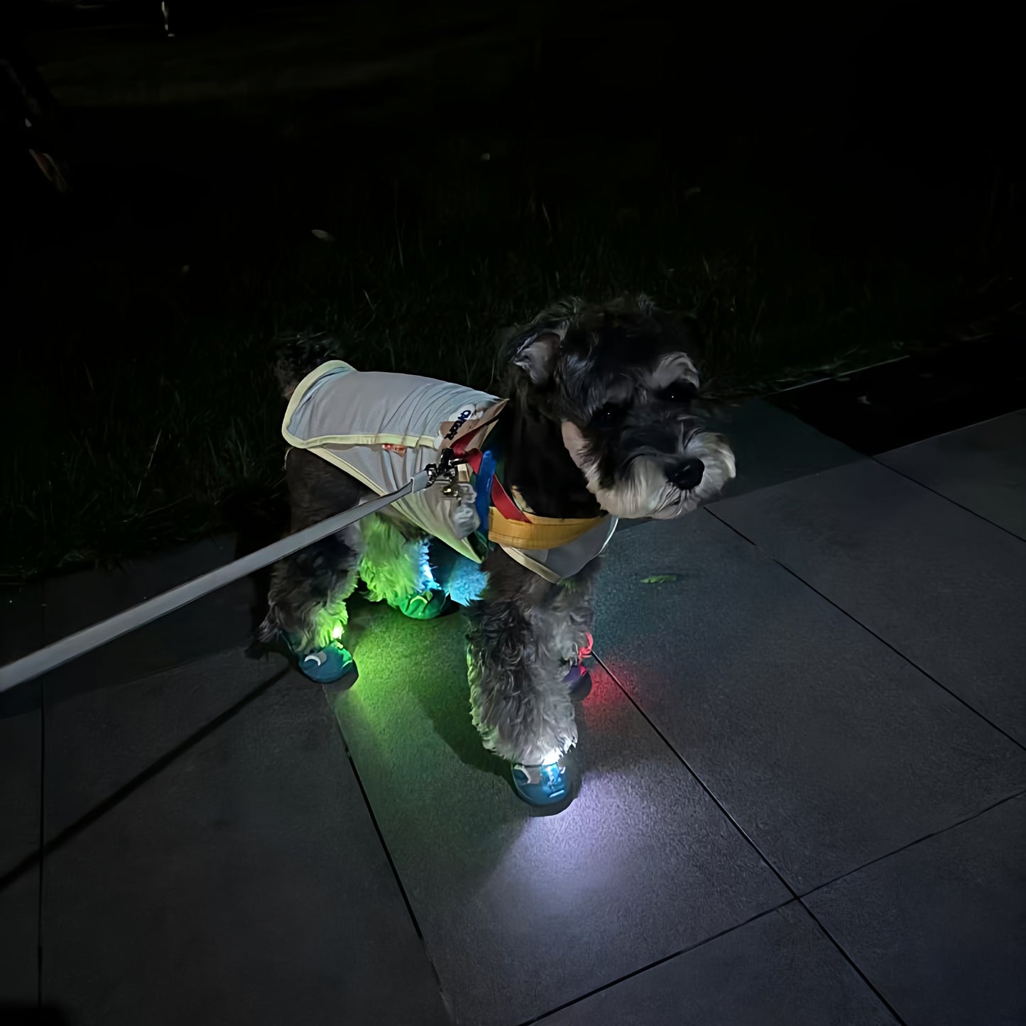 Dog Shoes with Cool Gradient Flashing Lights