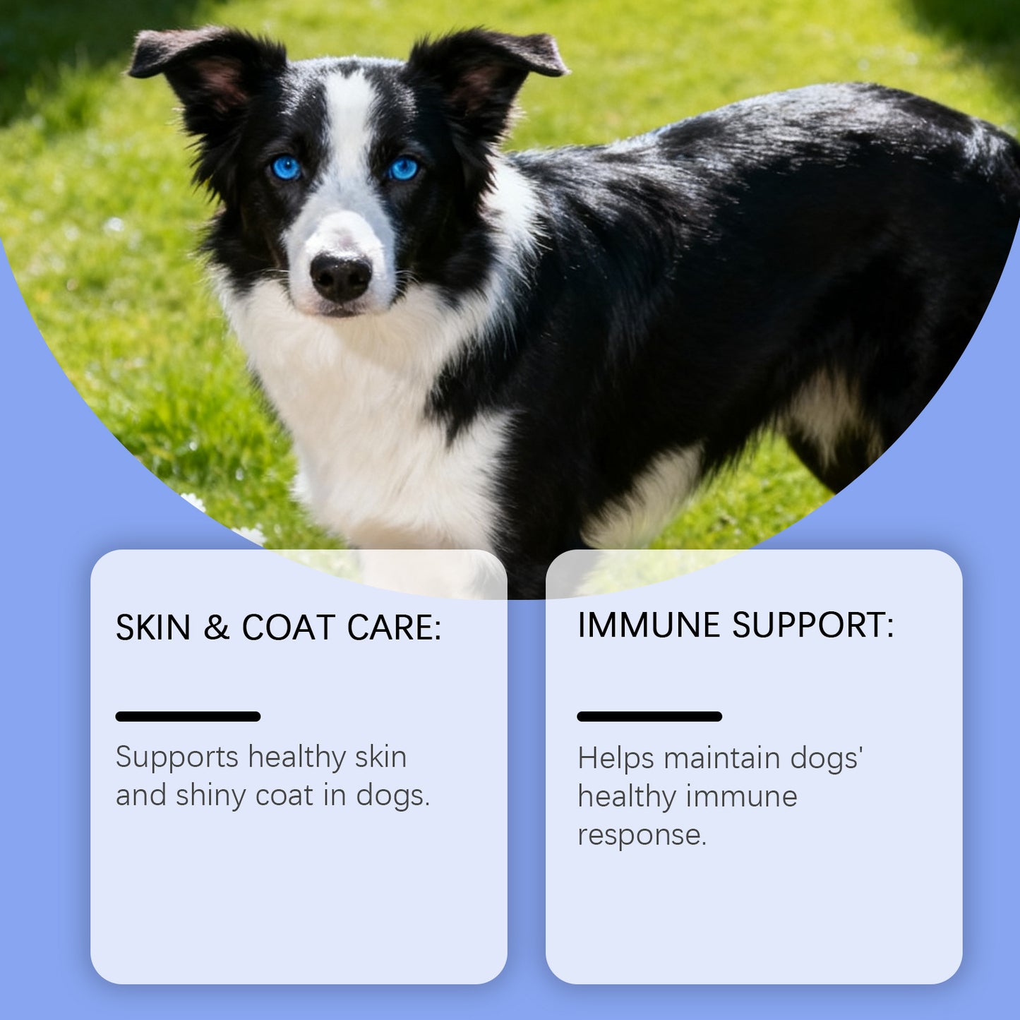 Dog Skin Care Soft Granules