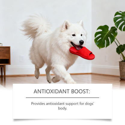 Dog Skin Care Soft Granules