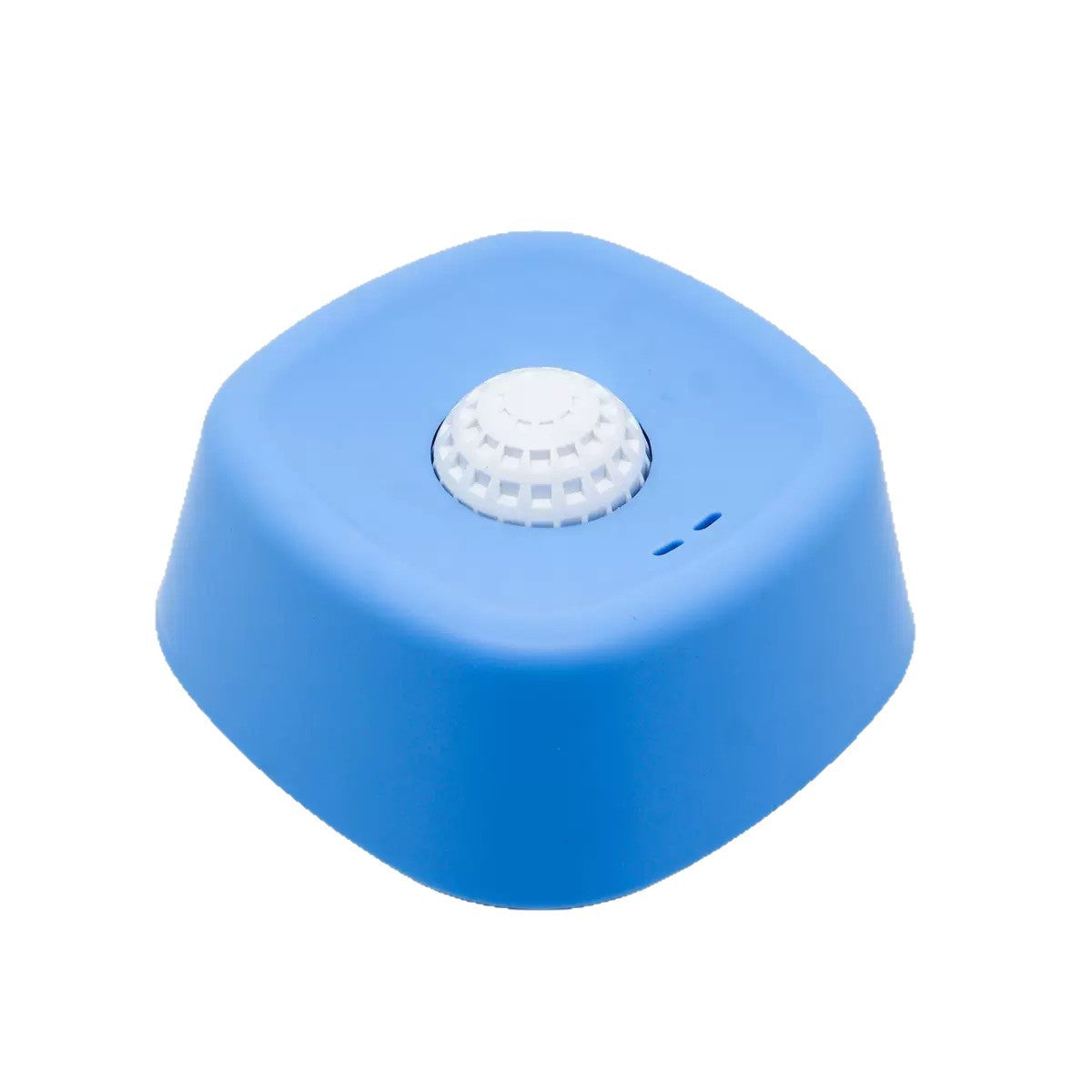 Dog Slow Feeder Lick Bowl
