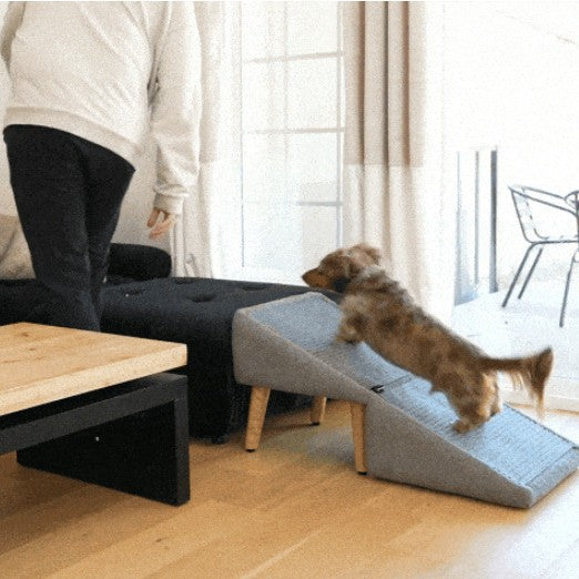 Dog sofa ladder