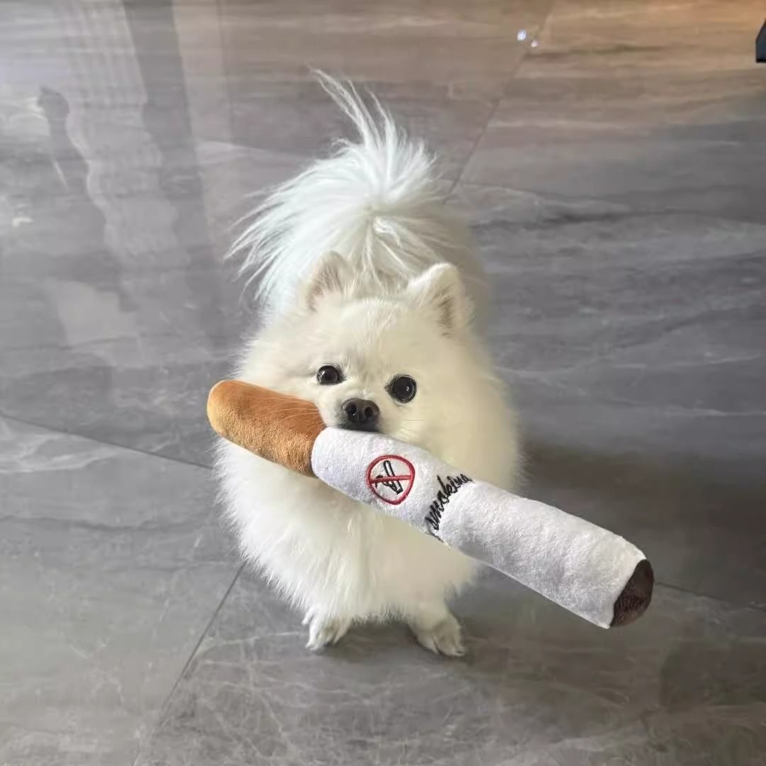 dog squeaky toy
