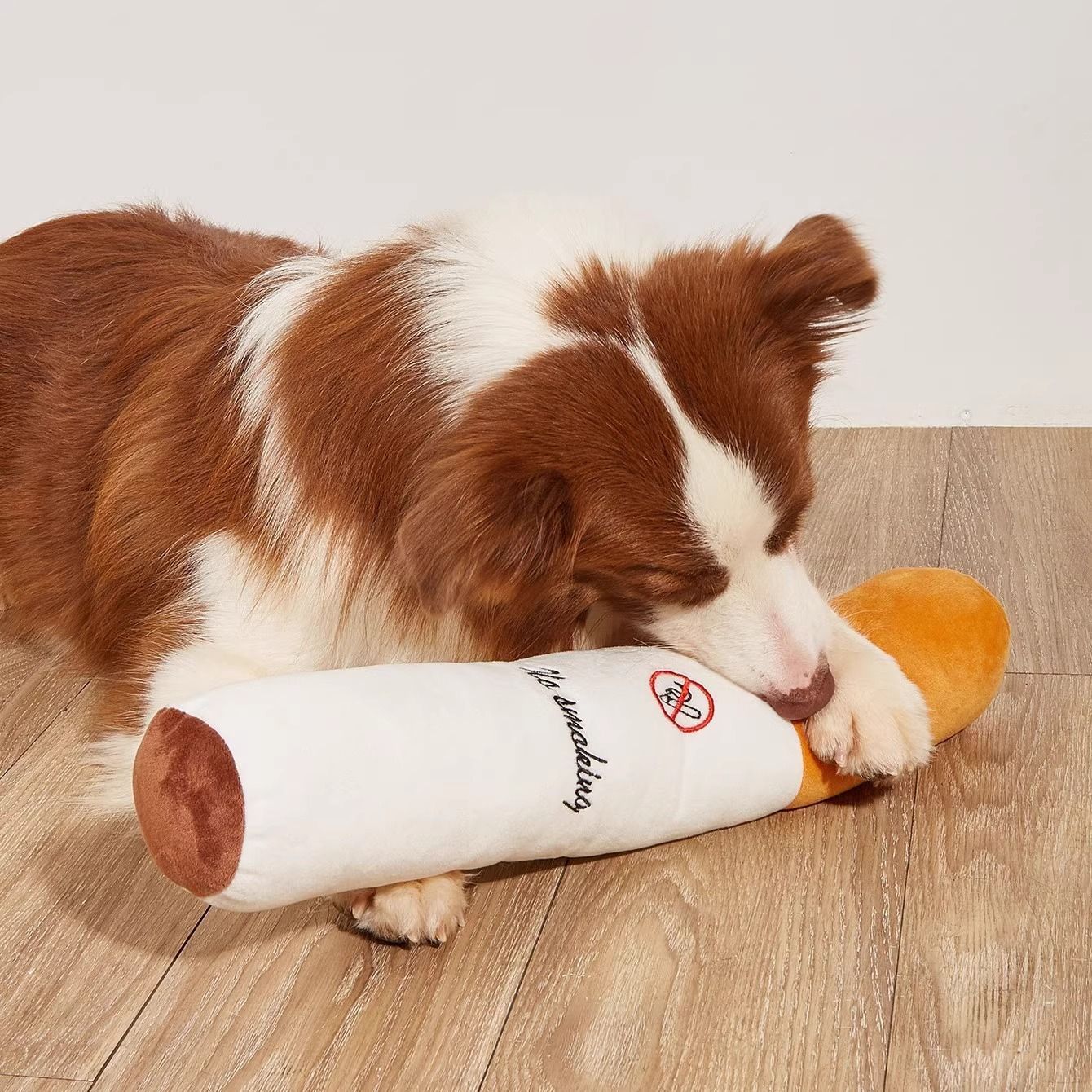 dog squeaky toy