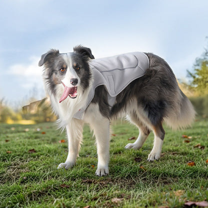 Dog summer vest
