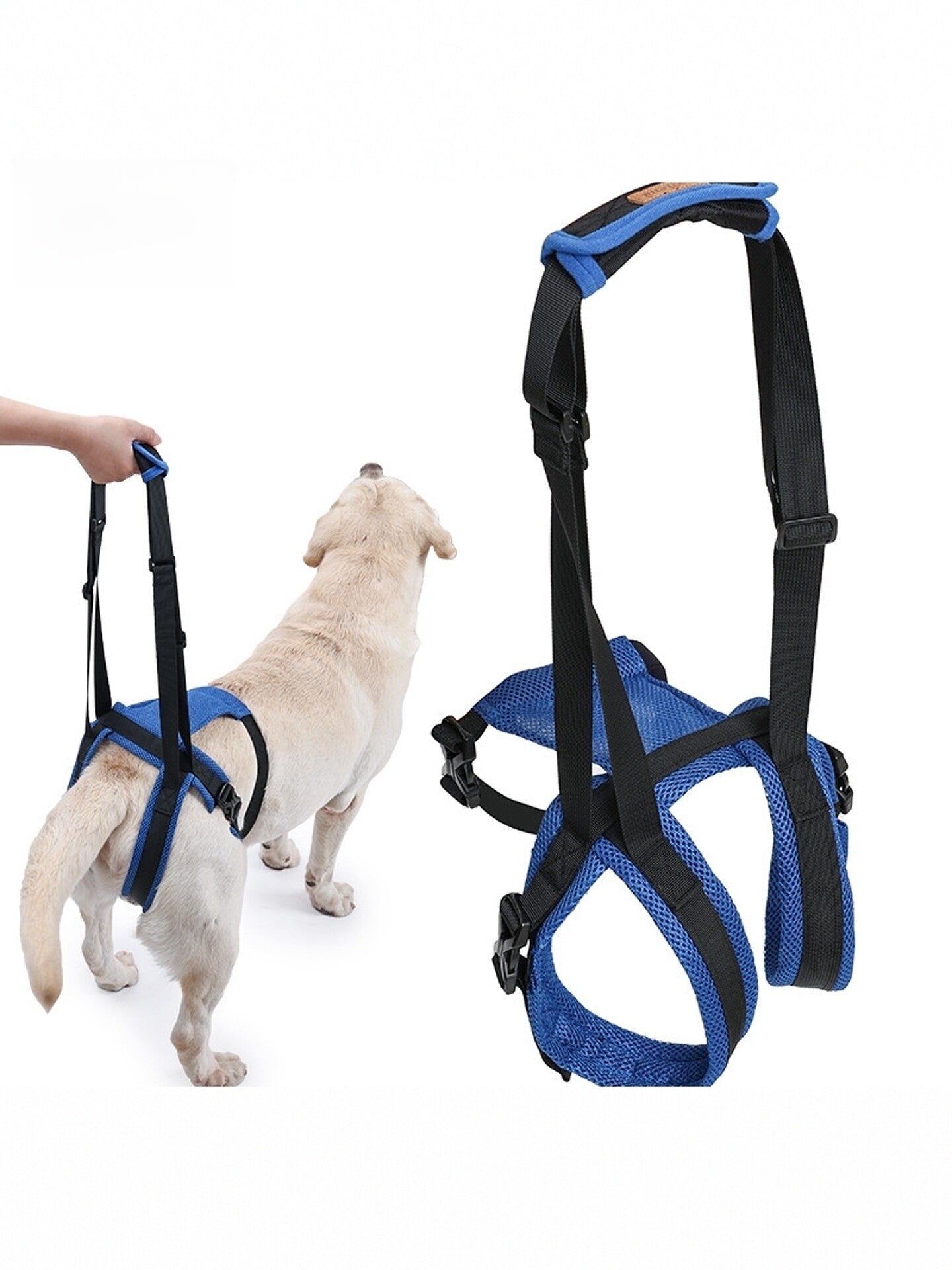 Dog Support Harness