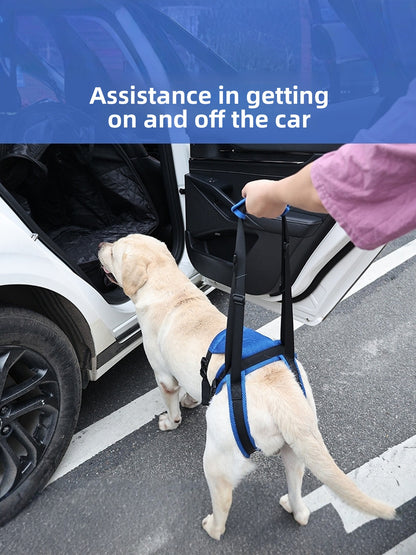 Dog Support Harness