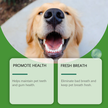 Dog Teeth Cleaning Powder