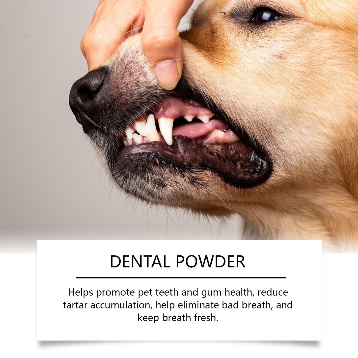 Dog Teeth Cleaning Powder