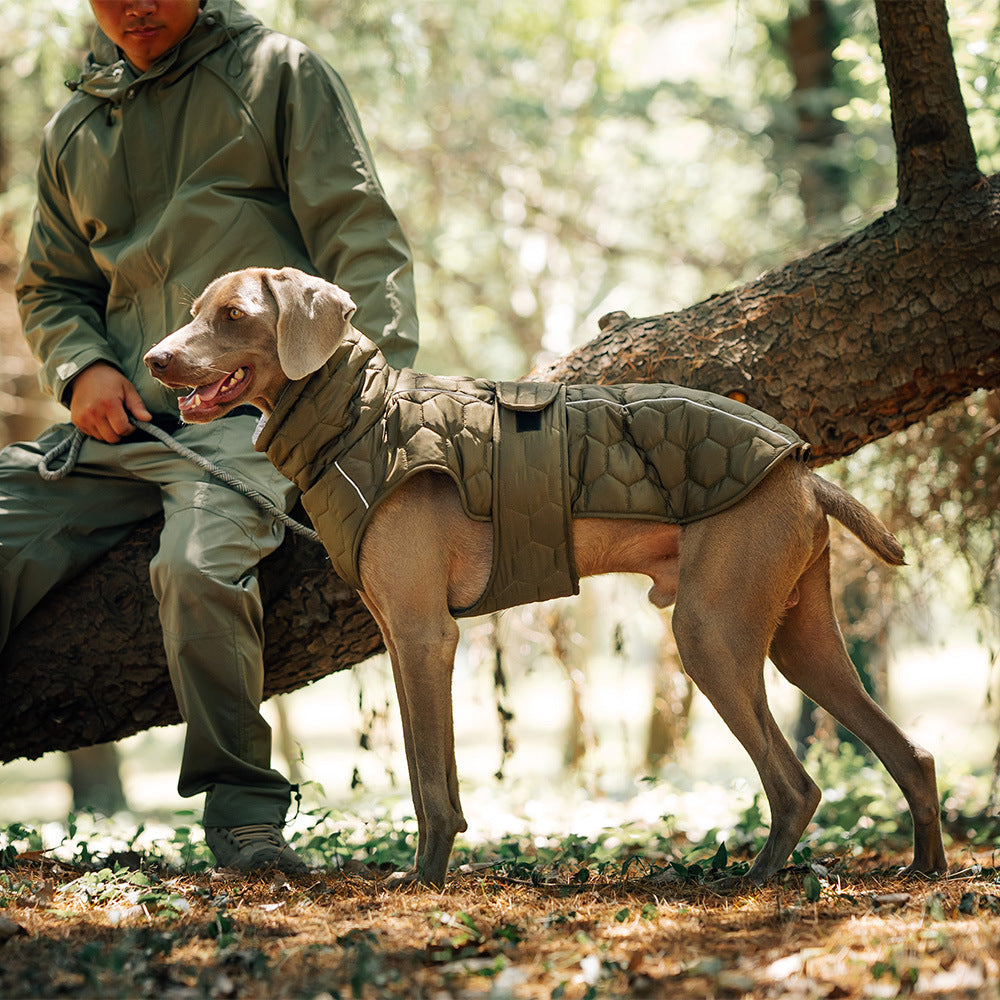 Dog thick and warm jacket