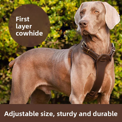 Dog Top Layer Cowhide Vest-style Chest Strap Leather Leash