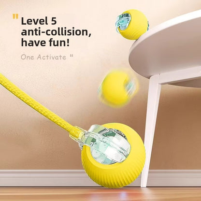 Dog Toy Automatic Walking Ball