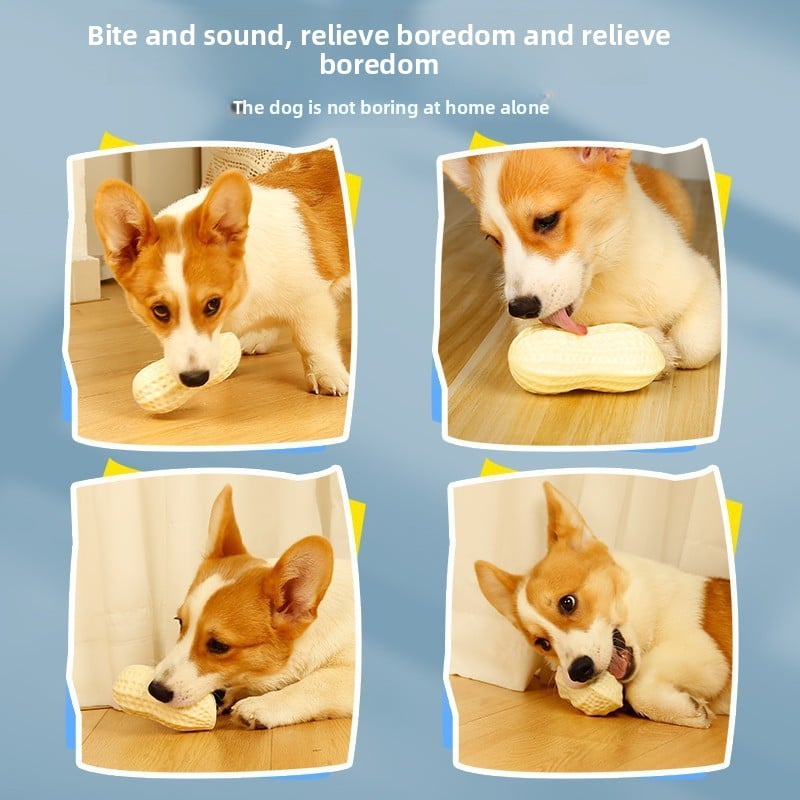 Dog Toy Ball Bite-resistant Molar Vocalization Peanut Large Dog Golden Retriever Puppy Corgi Fa Fighting Cats and Dogs Soliciting Artifact