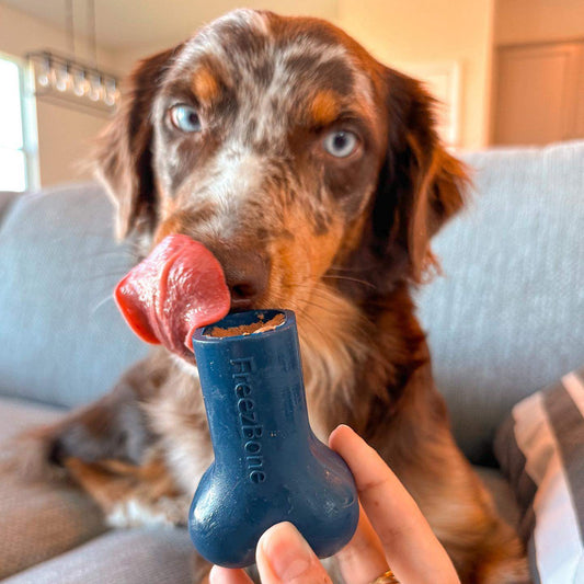 Dog Toy