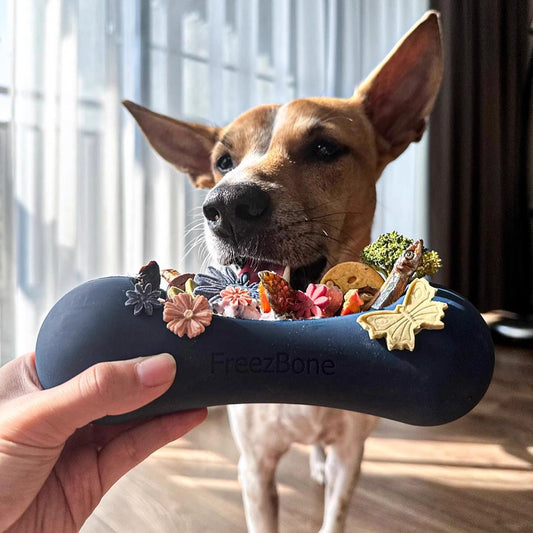 Dog Toy