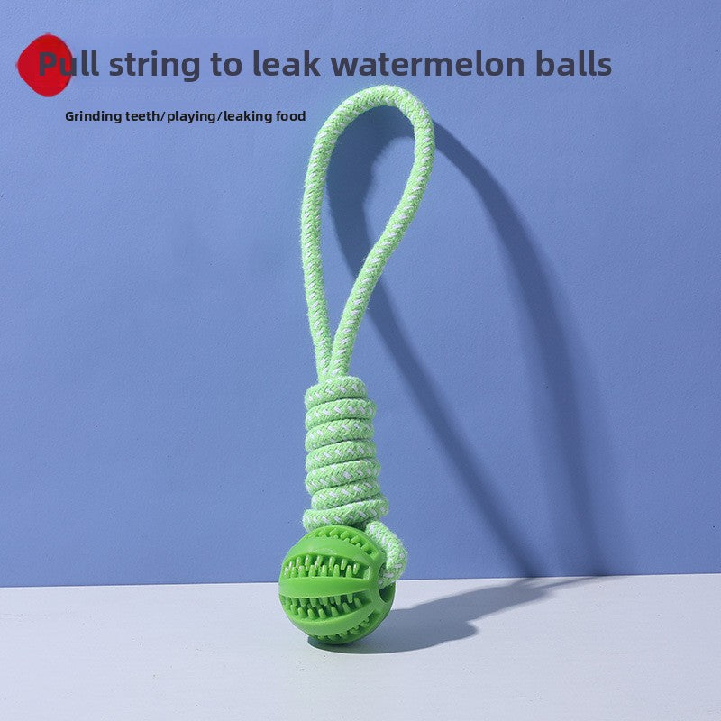 Dog toy