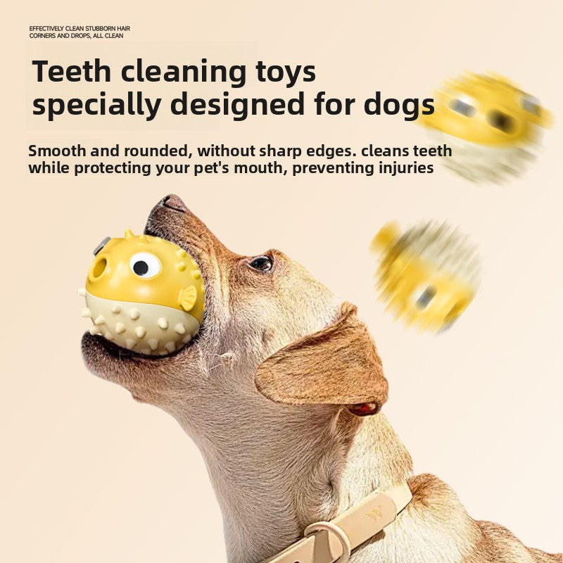 Dog Toy