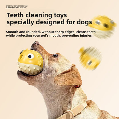 Dog Toy