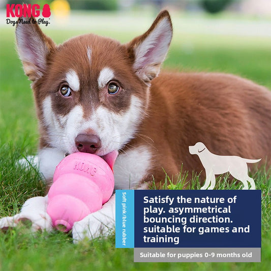 Dog Toy