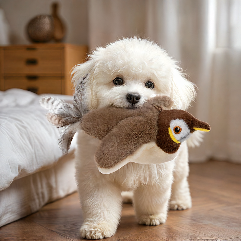 Dog Toy