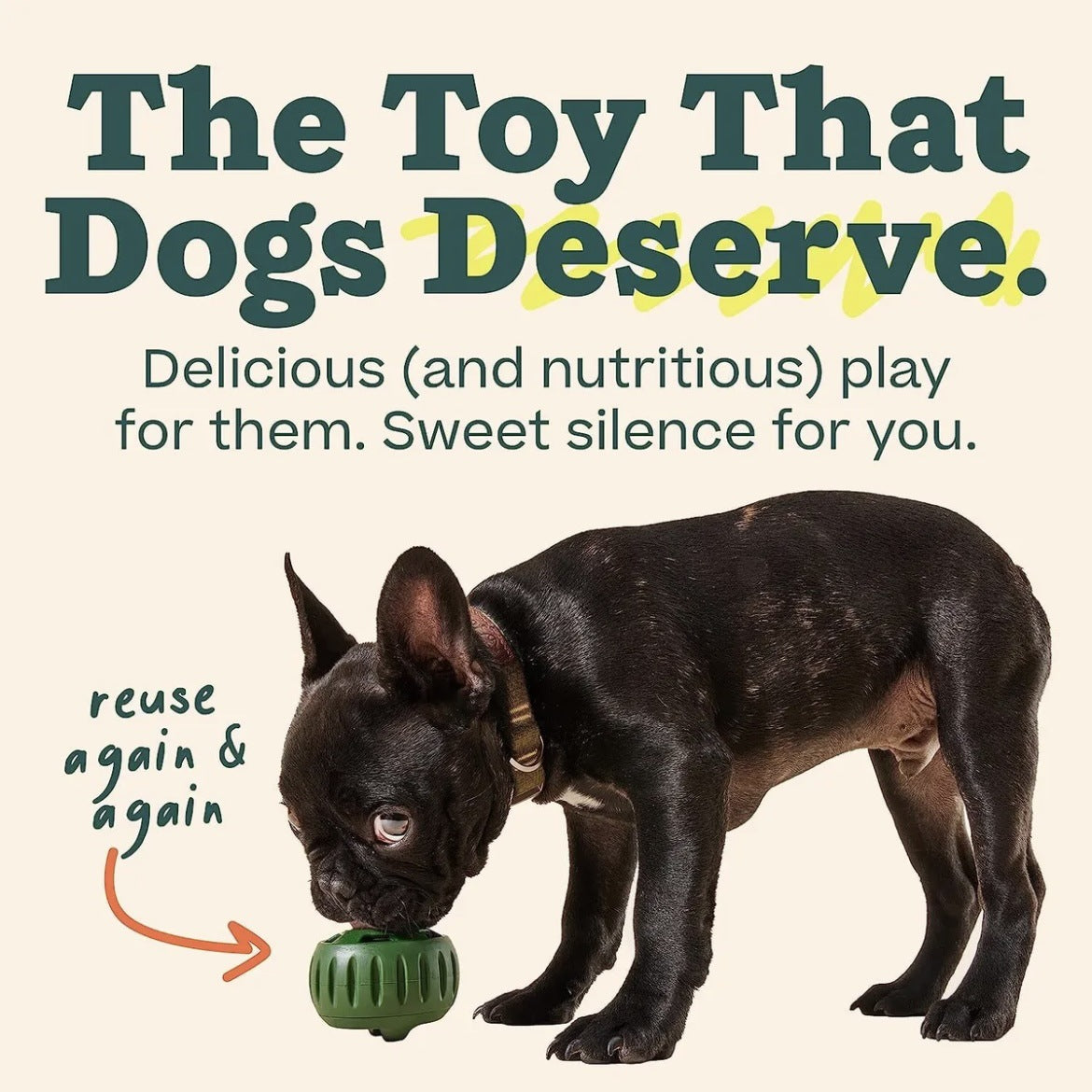 Dog toy