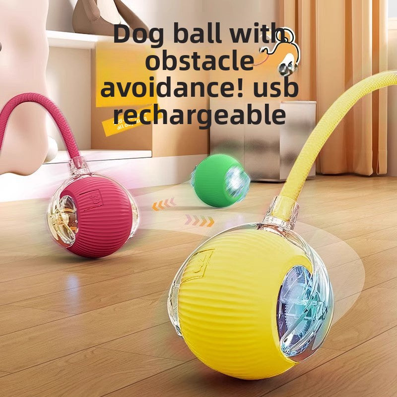 Dog toys.