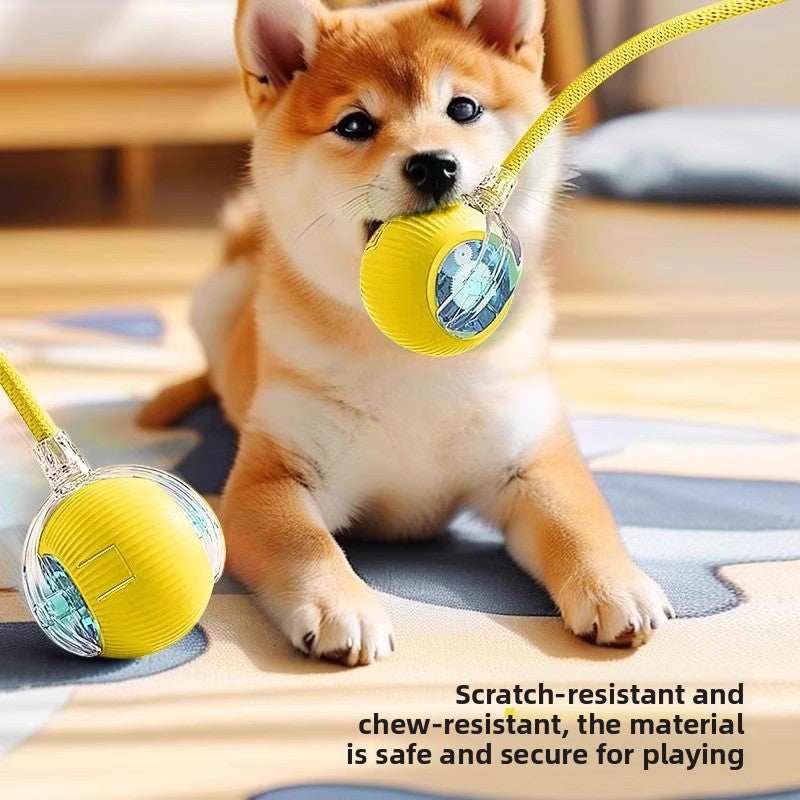 Dog toys.