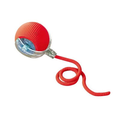 Dog toys.