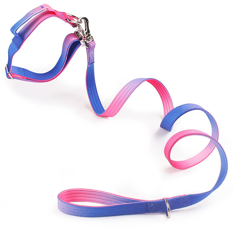 Dog Traction Rope Collar with Large, Medium and Small Gradient suit