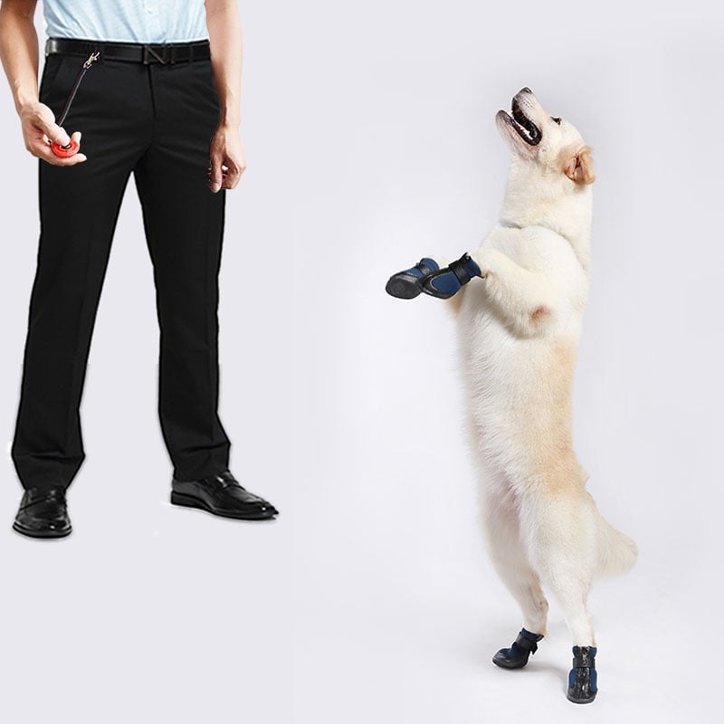 Dog Training Clicker – Obedience Whistle & Command Trainer